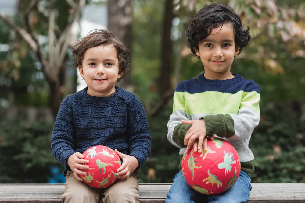 7 Inch Playground Ball - Dinosaurs Red