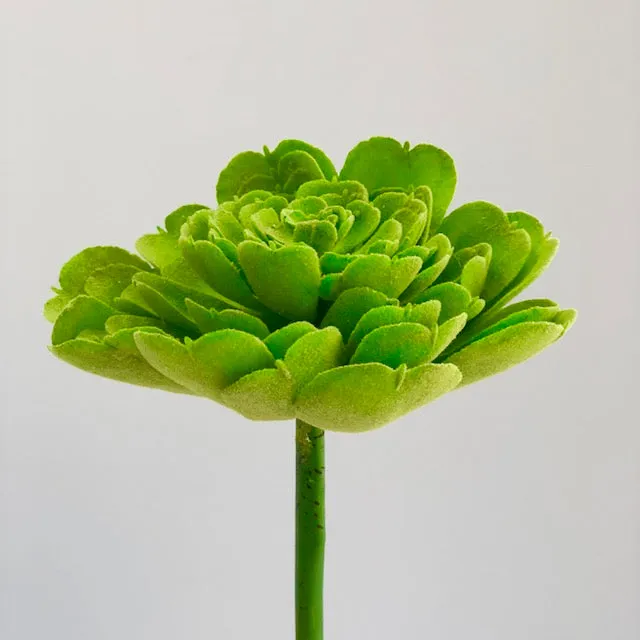 Forest Synthetic Green Succulent Flower