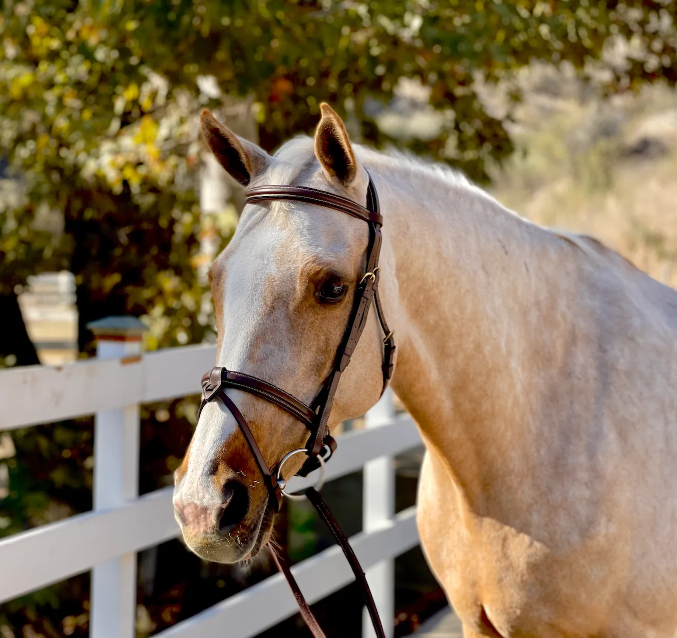 Halifax - Brown Leather Hunter Bridle